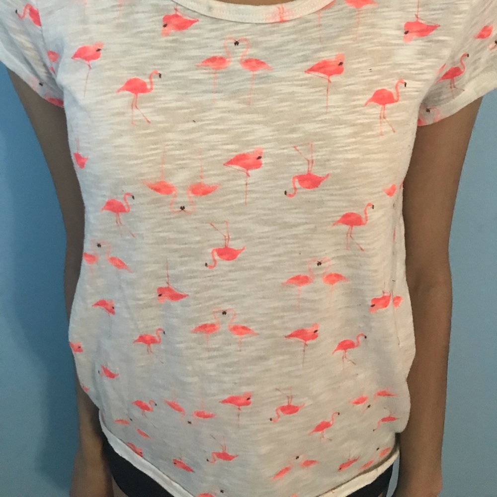 Flamingo print white tee